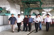 Nhiều cây cao su của Công ty cổ phần VRG Phú Yên bị chặt phá